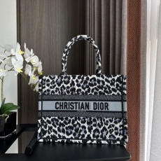 Christian Dior Shopping Bags